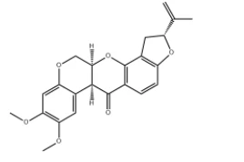 product-268-178 product-268-178