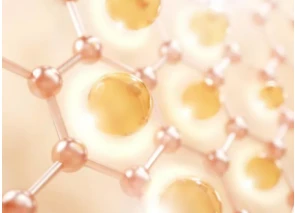 Elastin Peptide Elastin Peptide